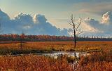 Jock River At Sunrise_09026